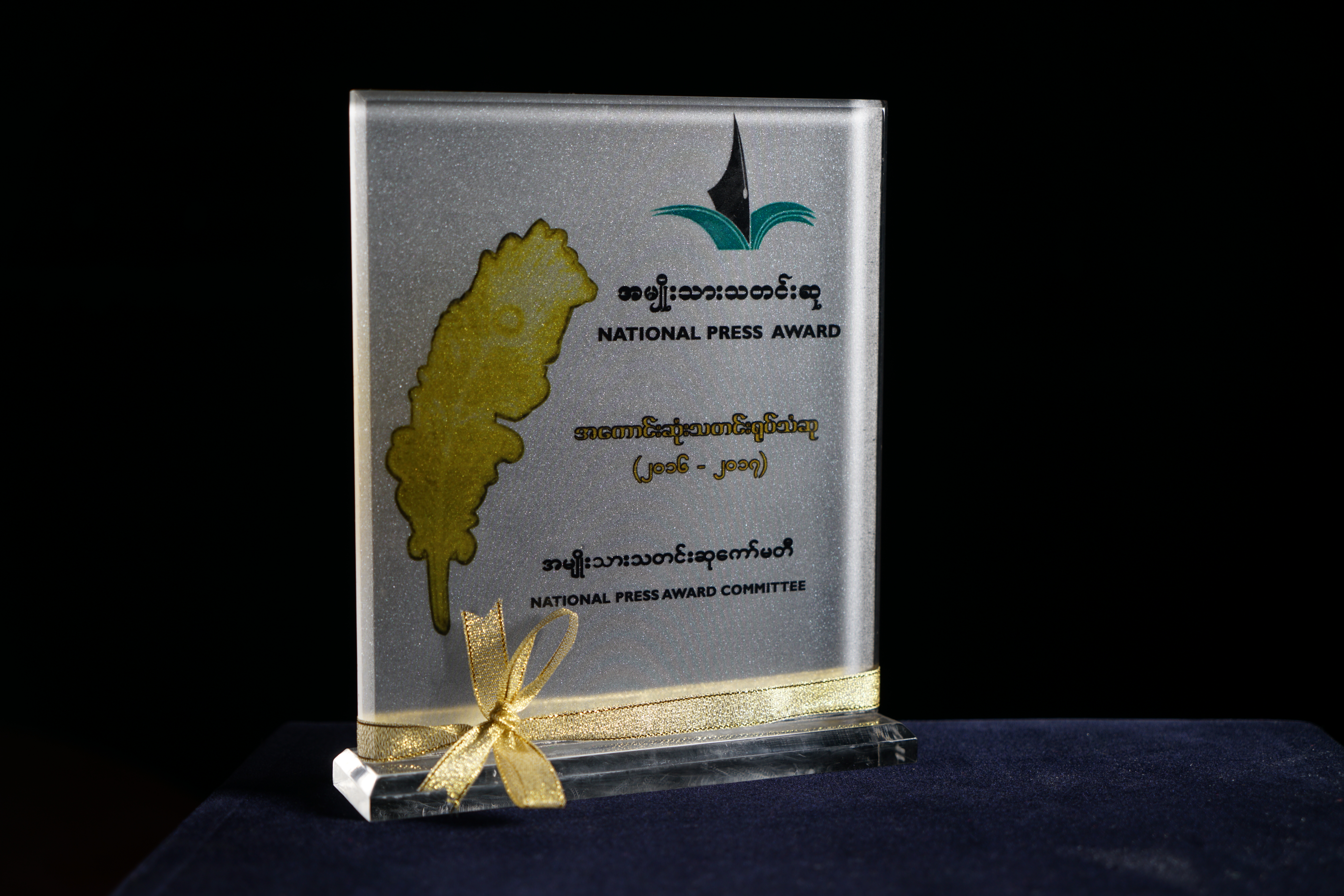 DVB National Press Award 2015